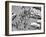 1950s New York City, NY 5th Avenue Overhead View of Traffic and Pedestrians Crossing Street-null-Framed Photographic Print