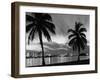 1950s Night Skyline View across the Bay Two Palm Trees Silhouetted in Foreground Miami, Florida-null-Framed Photographic Print