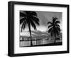 1950s Night Skyline View across the Bay Two Palm Trees Silhouetted in Foreground Miami, Florida-null-Framed Photographic Print