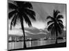 1950s Night Skyline View across the Bay Two Palm Trees Silhouetted in Foreground Miami, Florida-null-Mounted Photographic Print