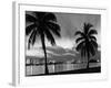 1950s Night Skyline View across the Bay Two Palm Trees Silhouetted in Foreground Miami, Florida-null-Framed Photographic Print