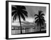 1950s Night Skyline View across the Bay Two Palm Trees Silhouetted in Foreground Miami, Florida-null-Framed Photographic Print