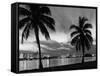 1950s Night Skyline View across the Bay Two Palm Trees Silhouetted in Foreground Miami, Florida-null-Framed Stretched Canvas