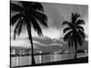 1950s Night Skyline View across the Bay Two Palm Trees Silhouetted in Foreground Miami, Florida-null-Stretched Canvas