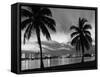 1950s Night Skyline View across the Bay Two Palm Trees Silhouetted in Foreground Miami, Florida-null-Framed Stretched Canvas