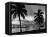 1950s Night Skyline View across the Bay Two Palm Trees Silhouetted in Foreground Miami, Florida-null-Framed Stretched Canvas