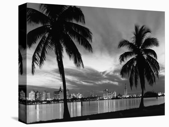 1950s Night Skyline View across the Bay Two Palm Trees Silhouetted in Foreground Miami, Florida-null-Stretched Canvas