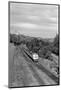 1950s Overhead View of Streamlined Front Cab Diesel Locomotive Passenger Railroad Train Passing-null-Mounted Photographic Print