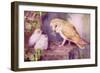 1950s UK Barn Owls Magazine Plate-null-Framed Giclee Print