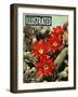 1950s UK Illustrated Magazine Cover-null-Framed Giclee Print