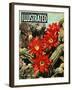 1950s UK Illustrated Magazine Cover-null-Framed Giclee Print