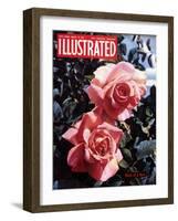 1950s UK Illustrated Magazine Cover-null-Framed Giclee Print