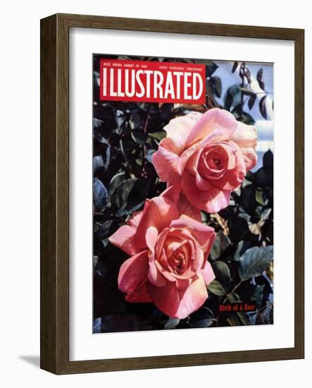 1950s UK Illustrated Magazine Cover-null-Framed Giclee Print