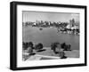 1950s with Lake Merritt in Foreground Skyline View of Oakland, California-null-Framed Photographic Print