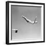 1950s WOMAN SWAN DIVE OFF DIVING BOARD ONE PIECE BATHING SUIT AND SWIMMING CAP-H. Armstrong Roberts-Framed Photographic Print