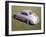 1951 Porsche 356-null-Framed Photographic Print