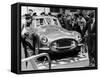 1952 Fiat 8V, C1952-null-Framed Stretched Canvas