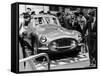 1952 Fiat 8V, C1952-null-Framed Stretched Canvas