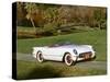 1953 Chevrolet Corvette-null-Stretched Canvas