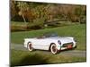 1953 Chevrolet Corvette-null-Mounted Photographic Print