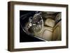 1954 Chevrolet Corvette Interior-S. Clay-Framed Photographic Print