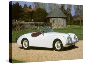 1954 Jaguar XK120-null-Stretched Canvas