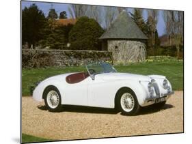 1954 Jaguar XK120-null-Mounted Photographic Print