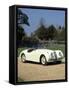 1954 Jaguar-null-Framed Stretched Canvas