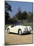 1954 Jaguar-null-Mounted Photographic Print