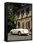 1954 Porsche 356 1300S Cabriolet-null-Framed Stretched Canvas