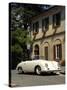 1954 Porsche 356 1300S Cabriolet-null-Stretched Canvas