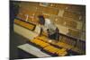 1955: at the Iowa State Fair, a Judge Examine Corn Cob Entries, Des Moines, Iowa-John Dominis-Mounted Photographic Print