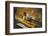 1955: at the Iowa State Fair, a Judge Examine Corn Cob Entries, Des Moines, Iowa-John Dominis-Framed Photographic Print