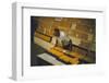 1955: at the Iowa State Fair, a Judge Examine Corn Cob Entries, Des Moines, Iowa-John Dominis-Framed Photographic Print