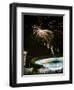 1955: Fireworks Display over Iowa State Fair, Des Moines, Iowa-John Dominis-Framed Photographic Print