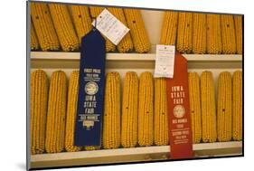 1955: First and Second Place Ribbon-Winning 'Field Corn' Entries at the Iowa State Fair-John Dominis-Mounted Photographic Print