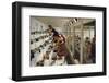 1955: Judges Examining Various Preserves and Butters, at the Iowa State Fair, Des Moines, Iowa-John Dominis-Framed Photographic Print