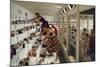 1955: Judges Examining Various Preserves and Butters, at the Iowa State Fair, Des Moines, Iowa-John Dominis-Mounted Photographic Print