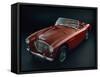 1956 Austin Healey 100-BM2 Car-null-Framed Stretched Canvas