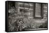 1956-Bonanzaville-B&W-Gordon Semmens-Framed Stretched Canvas