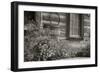 1956-Bonanzaville-B&W-Gordon Semmens-Framed Photographic Print