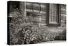 1956-Bonanzaville-B&W-Gordon Semmens-Stretched Canvas