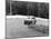 1956 Fiat 600 Racing at Silverstone, Northamptonshire, 1957-null-Mounted Photographic Print