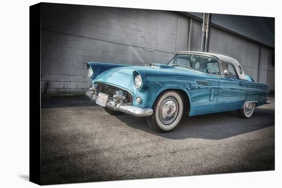 1956 Ford Thunderbird-Stephen Arens-Stretched Canvas