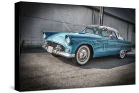 1956 Ford Thunderbird-Stephen Arens-Stretched Canvas