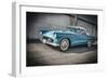 1956 Ford Thunderbird-Stephen Arens-Framed Photographic Print