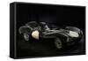 1956 Jaguar D type-null-Framed Stretched Canvas