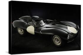 1956 Jaguar D type-null-Stretched Canvas