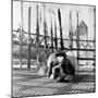 1956 Winter Olympic Game-Bosher-Mounted Photographic Print