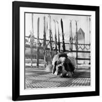 1956 Winter Olympic Game-Bosher-Framed Photographic Print